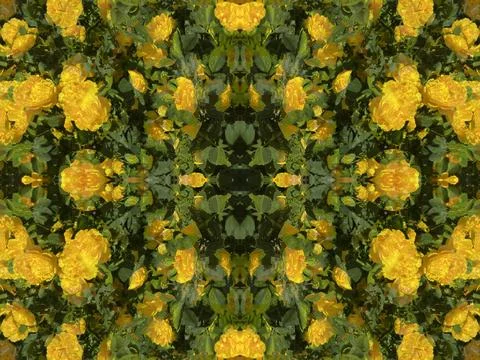 A fancy background pattern 스톡 사진