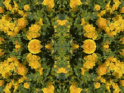 A fancy background pattern 스톡 사진
