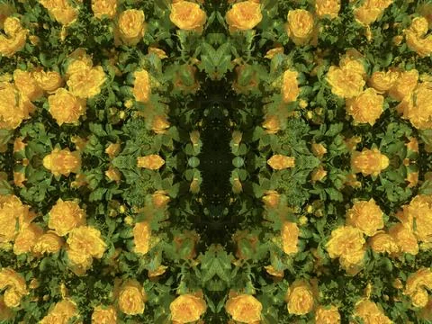 A fancy background pattern 스톡 사진