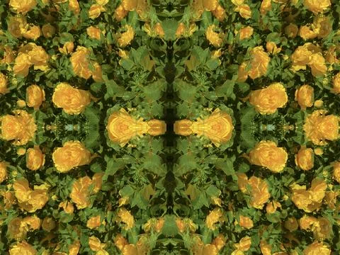 A fancy background pattern 스톡 사진