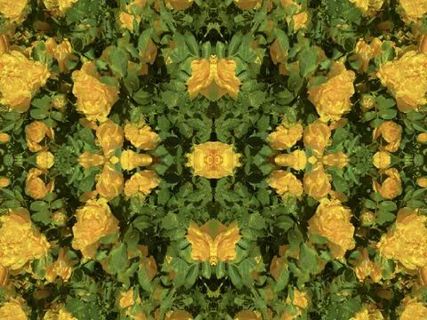 A fancy background pattern 스톡 사진