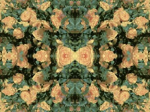 A fancy background pattern 스톡 사진