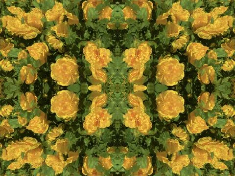 A fancy background pattern 스톡 사진