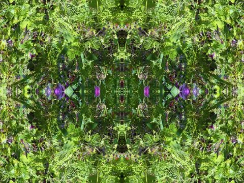 A fancy background pattern 스톡 사진