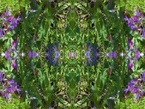 A fancy background pattern 스톡 사진