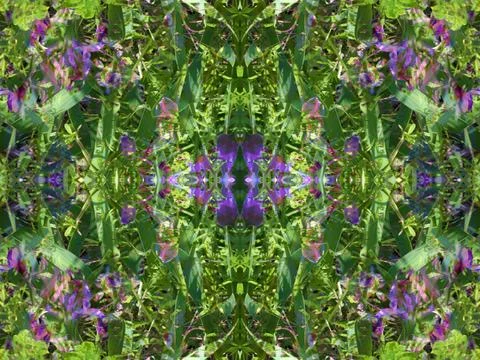 A fancy background pattern 스톡 사진