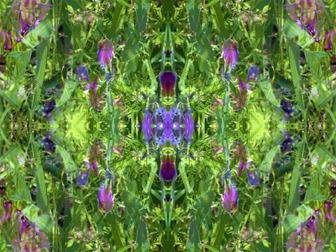 A fancy background pattern 스톡 사진