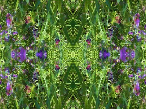 A fancy background pattern 스톡 사진