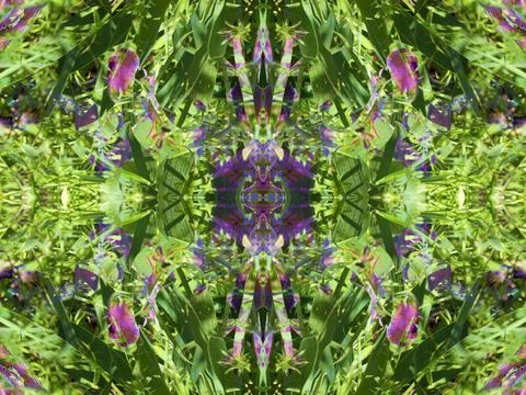 A fancy background pattern 스톡 사진