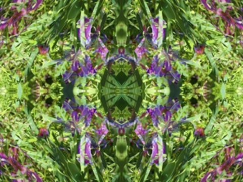 A fancy background pattern 스톡 사진