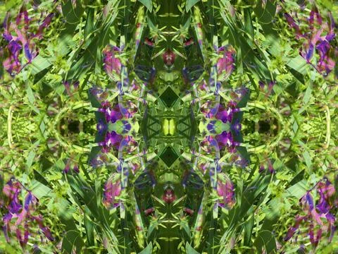 A fancy background pattern 스톡 사진