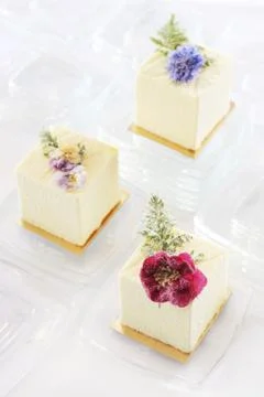 Fancy Cakes Stock Photos