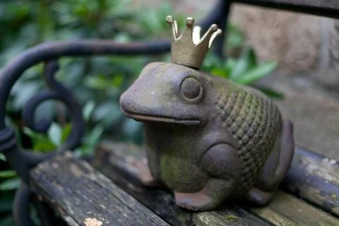 Fancy character of a crowned frog on a bench Stock Photos