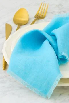 Fancy dinner table setting Foto stock