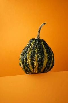 Fancy green striped pumpkin on a gradient orange background Stock Photos