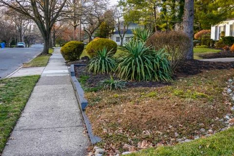 Fancy landscaping shrubs in the front yard of a home near the sidewalk Stock Photos