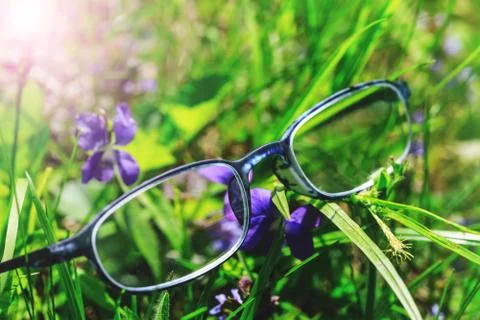 Fancy optometry glasses in green grass and violet flowers. Conceptual picture Stock Photos