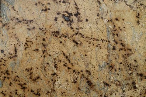 Fancy pattern on polished granite slab, Stock Photos