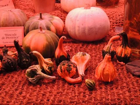 Fancy pumpkin shapes Stock Photos