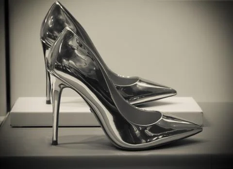 Fancy silver shoes Stock Photos