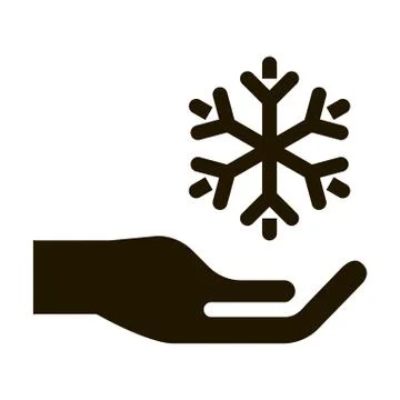 Fancy Snowflake Sign Icon Vector Glyph Illustration Illustrazione stock