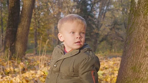 Fancy toddler boy sitting under autumn tree in park on big stomp and looking 스톡 동영상 113739483