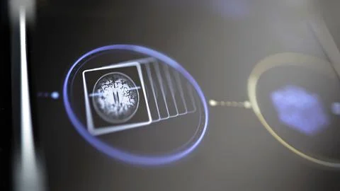 Fanned brain scan frames inside a blue ring 库存照片
