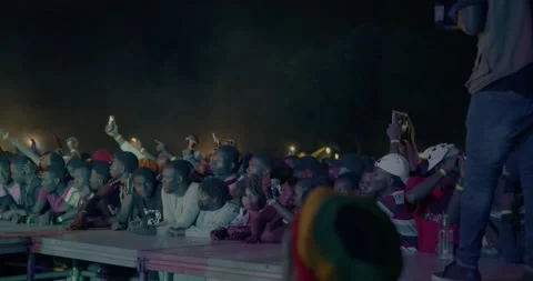 Fans at amusic show Stock Footage 190018639