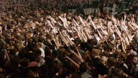 Fans cheering at the rock show Stock Footage 72341525