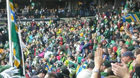 Fans Cheering in Stadium Stock Footage 12421667