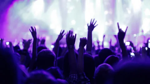Fans at a concert Video stock 32241369