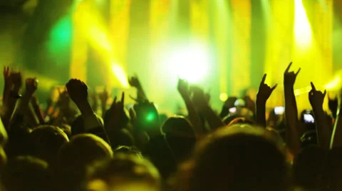 Fans at a concert Video stock 32241492