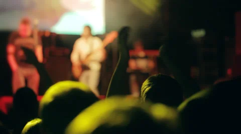Fans at a concert Stock Footage 36645751