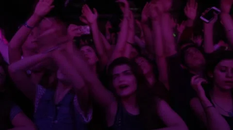 Fans at the concert Stock Footage 61848548