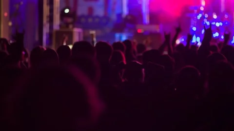 Fans at the Concert Stock Footage 67449368