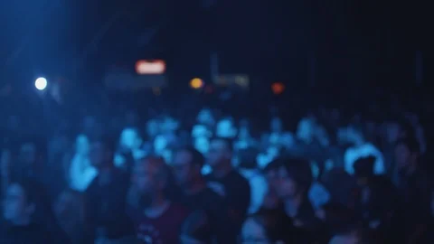 Fans enjoying the performance of their favorite rock band Stock Footage 106328844