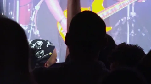 Fans in front of the stage at a rock party. Vídeo Stock 79741959