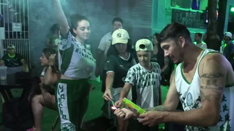 Fans of Palmeiras react as their team is set to win the Brazilian Football l... Video stock 258048379