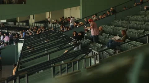 FANS AT THE RACETRACK Stock Footage 10918642
