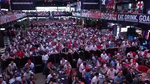 Fans react to Netherlands goal in seventh minute of Euro semi-final​​ Video stock 279102155