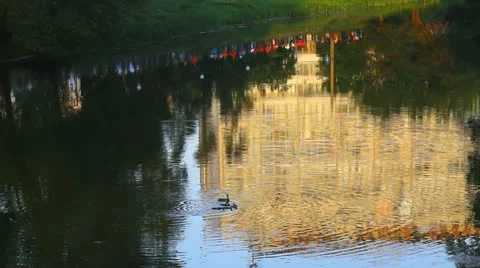 Fans at river, tilt Video stock 11173970