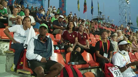 Fans at the stadium watching the competitions Stock Footage 33796924