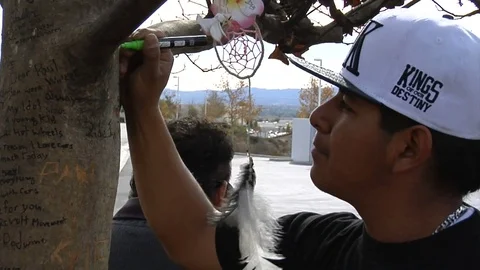 Fans writes on tree - Mourning death of actor Paul Walker Video stock 82470415