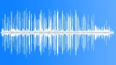 FanTailed Warbler InsectLike CallsSound Effect