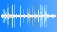 FanTailed Warbler InsectLike CallsSound Effect