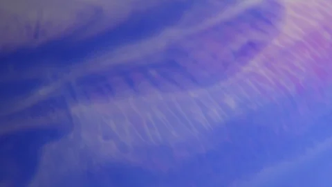 Fantastic abstract paint bubbles moving in slow motion. Chemical reaction of Stock Footage 87233554