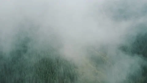 Fantastic aerial flight through clouds in the mountains with forest below Stock Footage 214716884