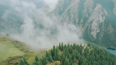 Fantastic aerial flight through clouds in the mountains with forest below Stock Footage 234490724