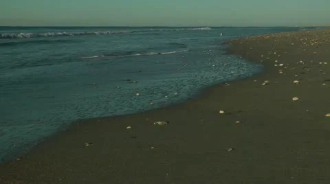 Fantastic beach walk Stock Footage 12169548