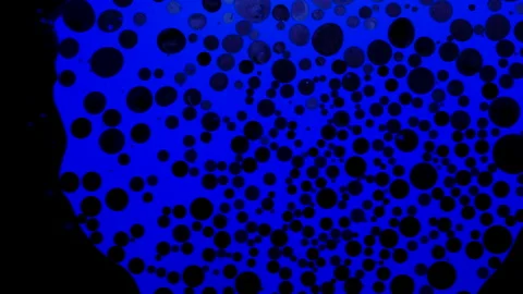 Fantastic black bubbles in blue ink. Scientific experiment, chemical reactions. Stock Footage 149284516